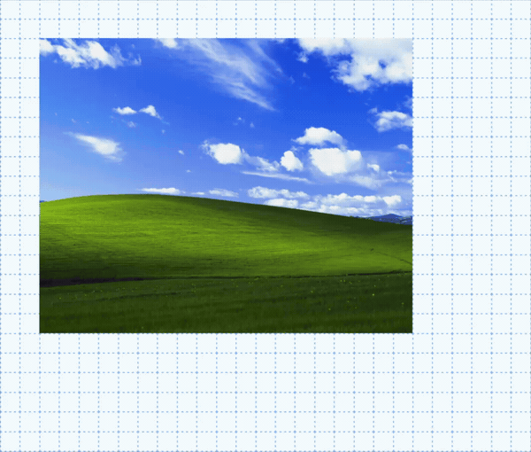 duplicate.gif