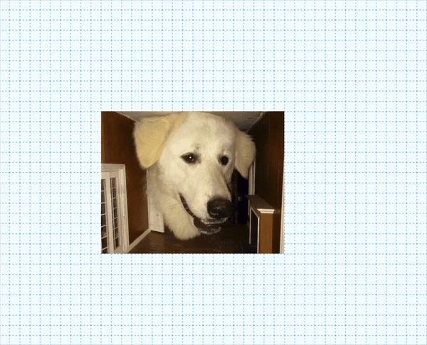 resize.gif
