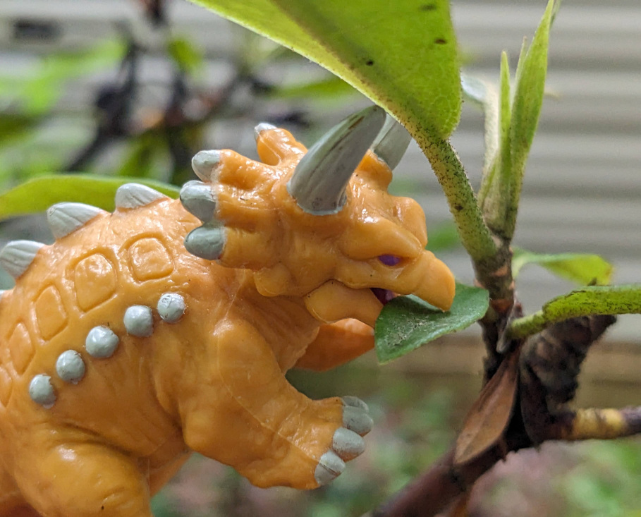 leaf_eater.jpg