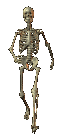skeleton_walking.gif
