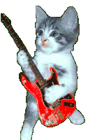 cat_shredding.gif