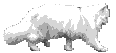 cat_walk.gif