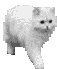 cat_walk2.gif