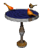 birdbath.gif