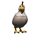 birds_chicken.gif