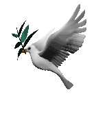 birds_dove.gif