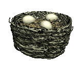 birdsnest.gif