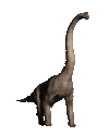 brachiosaurus.gif