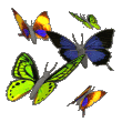 butterflies.gif
