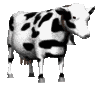 cow.gif