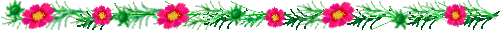 divider_wildflowers.gif