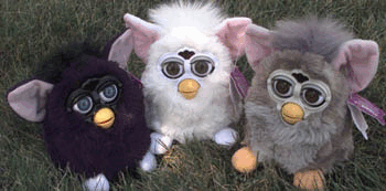 furby_field.gif