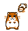hamster_bath.gif