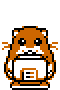 hamster_hacking.gif