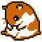 hamster_itchy.gif