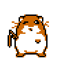 hamster_nunchucks.gif