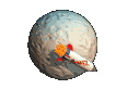 orbit.gif